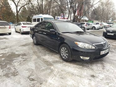 тойота камри 2005: Toyota Camry: 2005 г., 2.4 л, Автомат, Газ, Седан