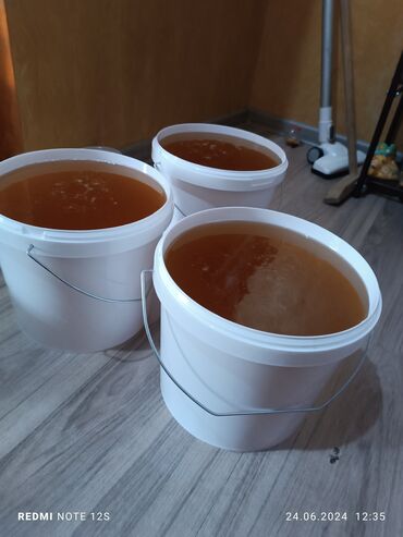 Мёд: Ысык Атанын табигый тоо балы сатылат кг 500 сом Бишкек продаю иссик