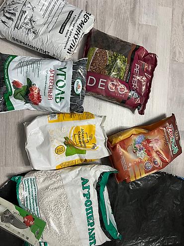 Монстеры: Очень много видов растений пересаженные в горшки адаптированные — 28
