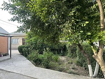 Продажа коттеджей и домов: Продаётся частный дом с благоустроенным двором и зелёной зоной — 11