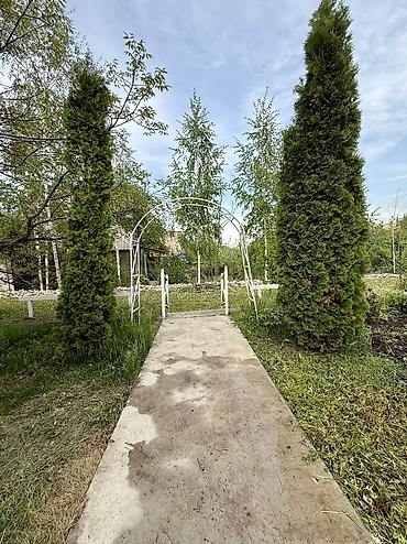 Продажа дач: Продаётся дача рядом с селом Горная Маевка(дачи Норус) площадь участка — 2