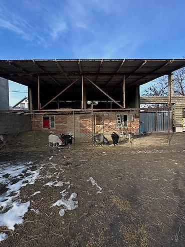 Продажа домов: Дом, 160 м², 7 комнат, Агентство недвижимости, Косметический ремонт — 4