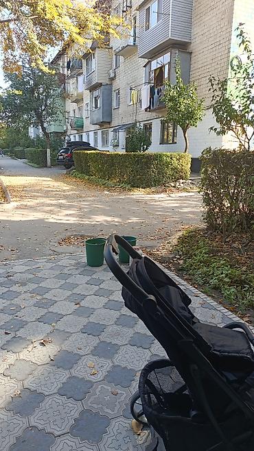 плафон gx: Уборка территории, Уборка двора и сада — 5