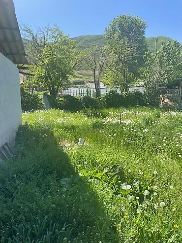 Продажа участков: 8 соток, Красная книга — 10