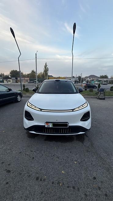 byd сигал: Zeekr : | 2026 г. Кроссовер — 1