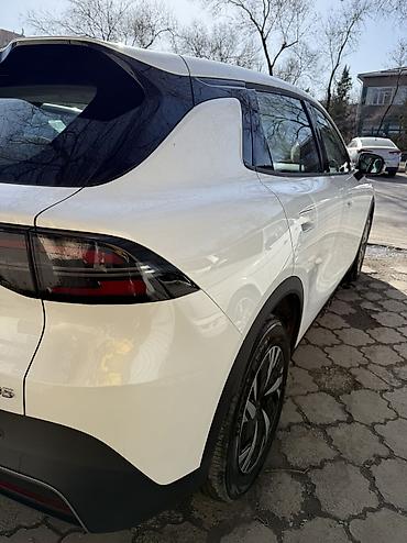 Dongfeng: Dongfeng : 2026 г., 0.1 л, Автомат, Электромобиль, Кроссовер — 9