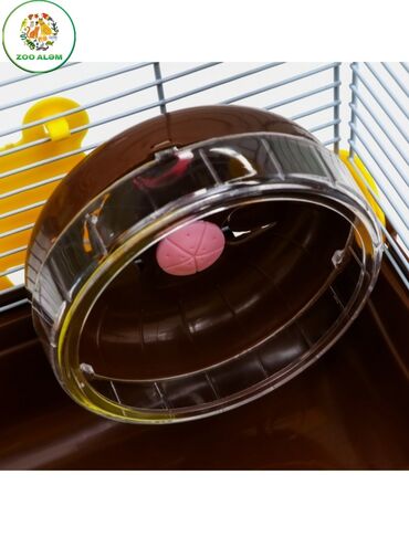 Qəfəslər: Xamyak və cunqarik qəfəsi. Gözoxşayan dizaynda Xomyak, cunqarik üçün — 8