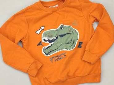 bluzka góralska z haftem: Sweatshirt, SinSay, 8 years, 122-128 cm, condition - Very good