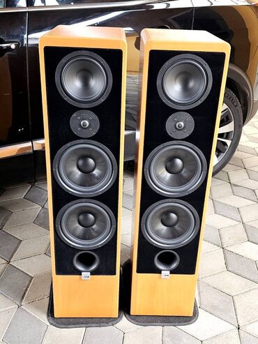 Zvučnici i stereo sistemi: Canton Ergo RC-L (Bukva) Snažne i zvučno veoma kvalitetne zvučne — 7