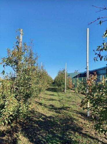 Prodaja zemljišta: Poljoprivredno zemljište — 10