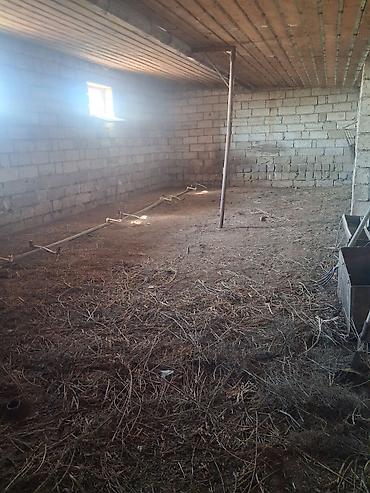 İcarəyə anbar və emalatxanalar: Obyekt – hündür hasarla əhatələnmiş, iri sahəli istehsalat/ankara — 29