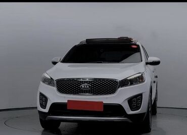 Hyundai: Kia Sorento: 2 l | 2016 il Ofrouder/SUV
