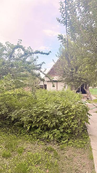 Продажа дачи: Продаётся участок с домом (дача) у реки Ала-Арча (прям в конце — 11