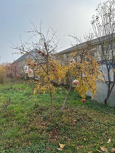 Torpaq sahələrinin satışı: Tikinti — 21