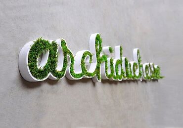 Reklam, çap: 🔹️Neon işıqlar 🔹️Qabarıq ( işıqlı,işıqsız) hərflər 🔹️Light box — 2