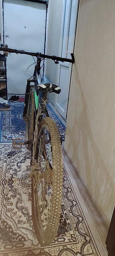 idman velosipedi type 1: Şəhər/dağ tipli BMX City velosipedi - Çərçivə: yüngül alüminium, BMX — 4