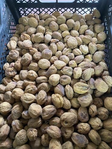 орех дерева: Сушёные абрикосы (урюк/кайса в косточке) - Натуральные сушёные плоды