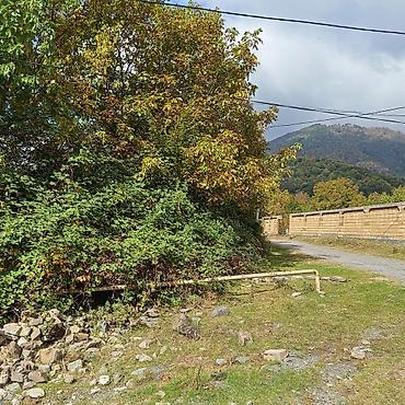 Torpaq sahələrinin satışı: 16 sot, Kənd təsərrüfatı, Makler, Kupça (Çıxarış) — 5