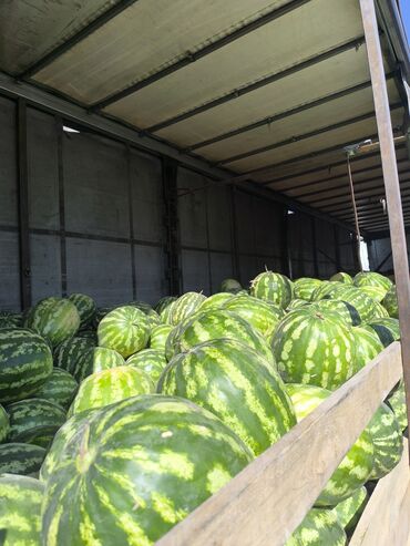 куриные крылышки череисово: Продается арбузы в оптовой и розничной цене