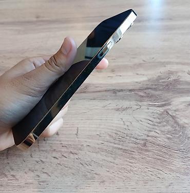 1 pro max: IPhone 13 Pro Max, серебристый - Экран 6.7" OLED Super Retina XDR — 6