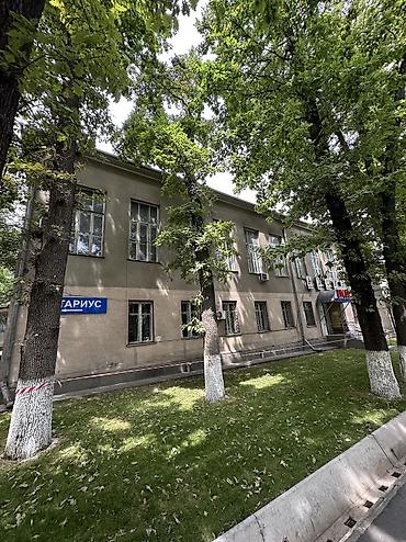 Побелка: Наружная побелка, Побелка потолков, Побелка стен | Известковая побелка, Мелковая побелка Больше 6 лет опыта at lalafo.kg — 59 Побелка: Наружная побелка, Побелка потолков, Побелка стен | Известковая побелка, Мелковая побелка Больше 6 лет опыта — 59