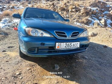 продажа nissan primera: Nissan Primera: 2001 г., 1.8 л, Механика, Бензин, Универсал