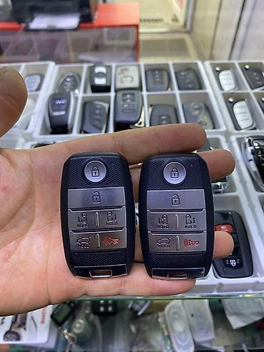 byd e2 2024: Изготовление автомобильные ключи с чипами разных марок - Заготовки и — 4