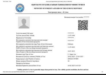 грин карта 2022 кыргызстан: Электронная виза (E-visa) Кыргызской Республики. Поможем под ключ