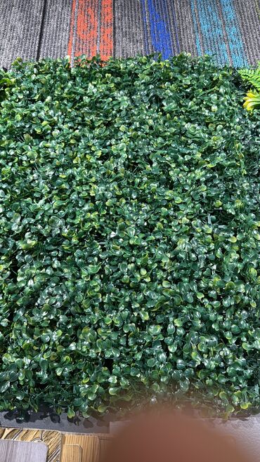 Süni qazon: Suni qazonarin ve dekorlarin topdan ve perekende satisi sifaris ucun -da lalafo.az — 8 Süni qazon: Suni qazonarin ve dekorlarin topdan ve perekende satisi sifaris ucun — 8