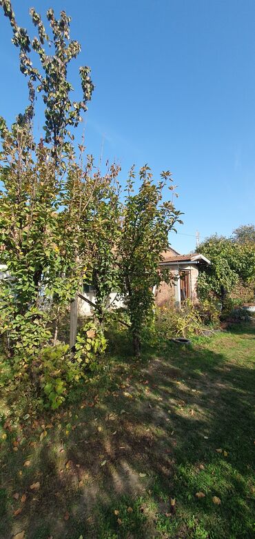 Kuće na prodaju: 180 kv. m, 5 soba — 4