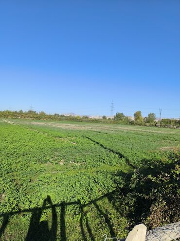 Torpaq sahələrinin satışı: 100 sot, Kənd təsərrüfatı, Kupça (Çıxarış) -da lalafo.az — 6 Torpaq sahələrinin satışı: 100 sot, Kənd təsərrüfatı, Kupça (Çıxarış) — 6