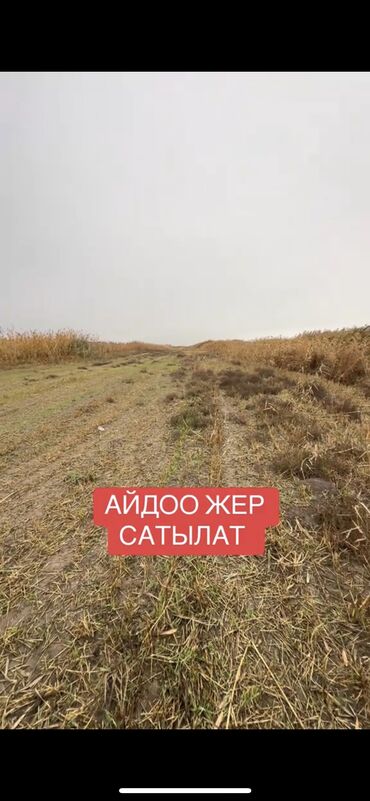 квартира бишкек сатып алуу: 1000 соток, Айыл чарба үчүн, Кызыл китеп