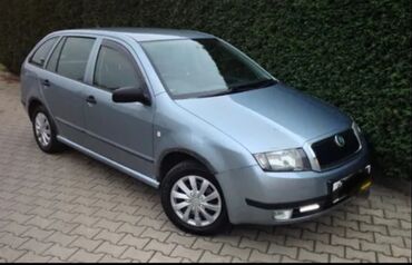 полированная машина: Skoda Fabia: 2003 г., 1.4 л, Механика, Универсал