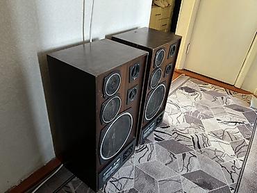 pc case: Акустическая система Radiotehnika S-90 (пара) - Формат: напольные — 1