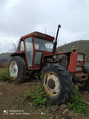 Traktorlar: Traktor Belarus (MTZ) 52, 1985 il, 50 at gücü, motor 4.7 l, İşlənmiş — 10