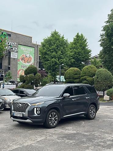 palisade: Hyundai Palisade: 2020 г., Кроссовер — 2