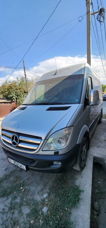 американская короткошёрстная кошка купить: Mercedes-Benz Спринтер: 2008 г., 2.2 л, Автомат, Дизель