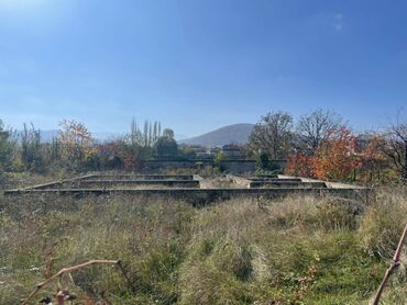 гостевые дома за городом: 10 sot torpaqdi senetleri qaydasinda yerleşdiyi yer Quba Nüqedi