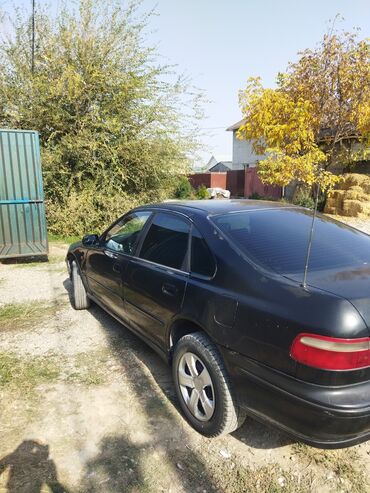 хонда стрим граната: Honda Accord: 1997 г., 2 л, Механика, Бензин, Седан