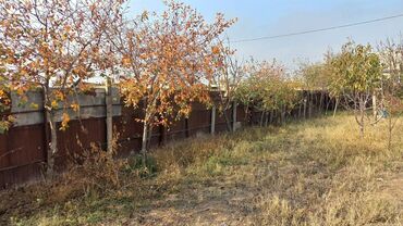 Torpaq sahələrinin satışı: 6 sot, Maklerlər narahat etməsin, Kupça (Çıxarış) — 2