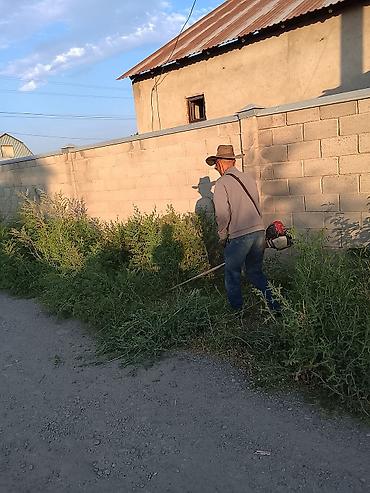 Клининговые услуги: Уборка территории, Стрижка газона — 4