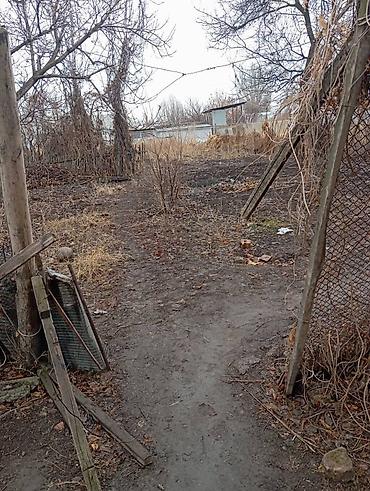 Шлакоблок: Дом из шлакоблока с односкатной крышей из волнистых листов. Стены — 10