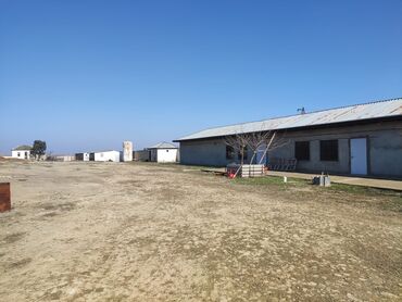 Torpaq sahələrinin satışı: 250 sot, Maklerlər narahat etməsin, Kupça (Çıxarış) -da lalafo.az — 3 Torpaq sahələrinin satışı: 250 sot, Maklerlər narahat etməsin, Kupça (Çıxarış) — 3