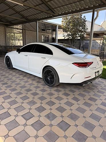 донголок 14 сешка: Mercedes-Benz CLS-Class: 2020 г., 2 л, Автомат, Дизель, Купе — 2