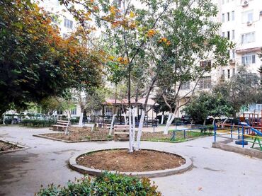 Uzunmüddətli kirayə mənzillər: Nizami metrosu, Dövlət statistika komitəsi və Caspian Plazanin — 8