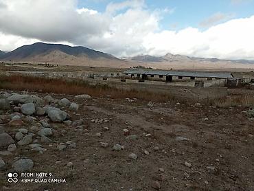 Продажа участков: 30 соток, Красная книга — 25