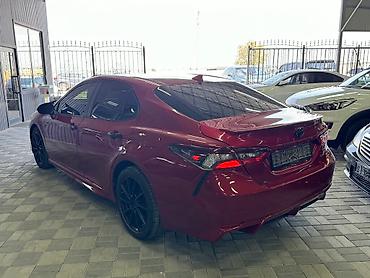 alba: Toyota Camry: 2021 г., 0.5 л, Автомат, Бензин — 6