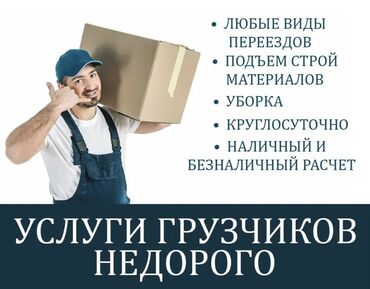Грузчики: Грузчик. Больше 6 лет опыта