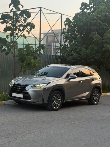 runx alex: Lexus NX: 2017 г., 2.5 л, Типтроник, Гибрид, Кроссовер