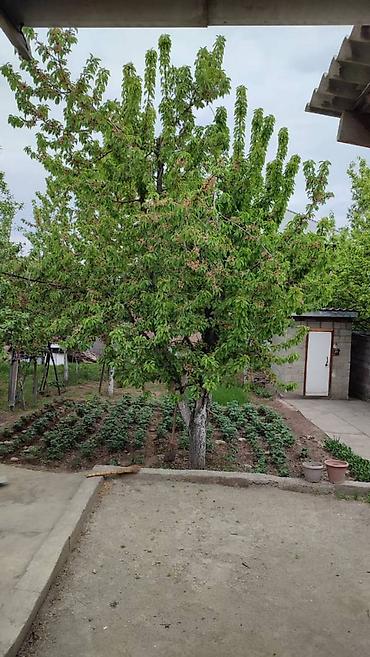 Продажа домов: 3 комнаты, 120 м², 6 соток, Бишкек, Кара-Жыгач ж/м Собственник — 8